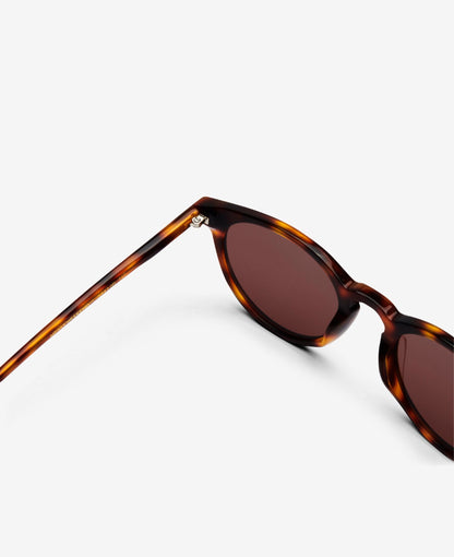 NEW DEPP - Tortoise Brown